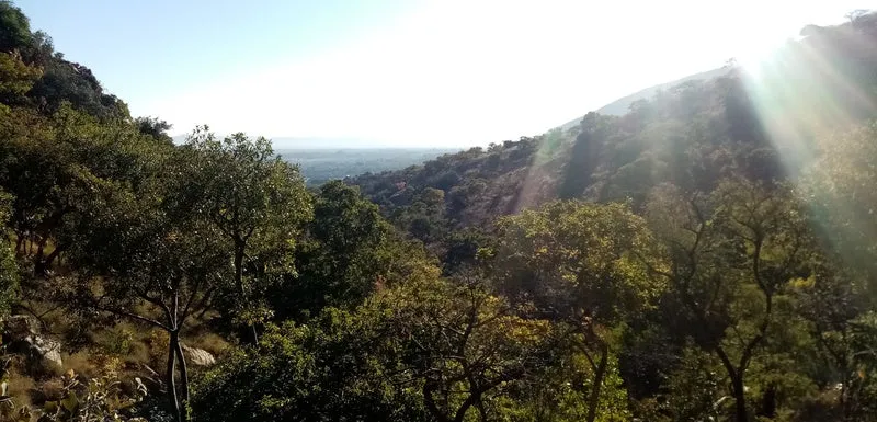 Bushwalks Hartbeespoort South Africa