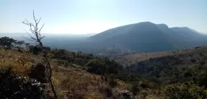 Bushwalks Hartbeespoort South Africa