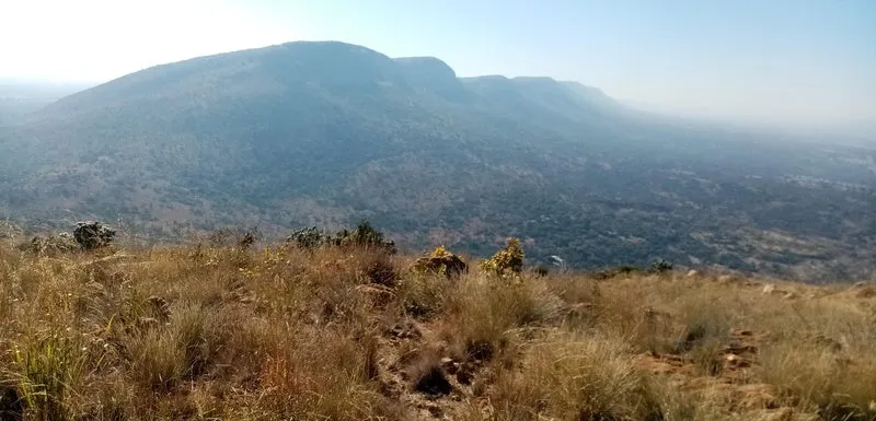 Bushwalks Hartbeespoort South Africa
