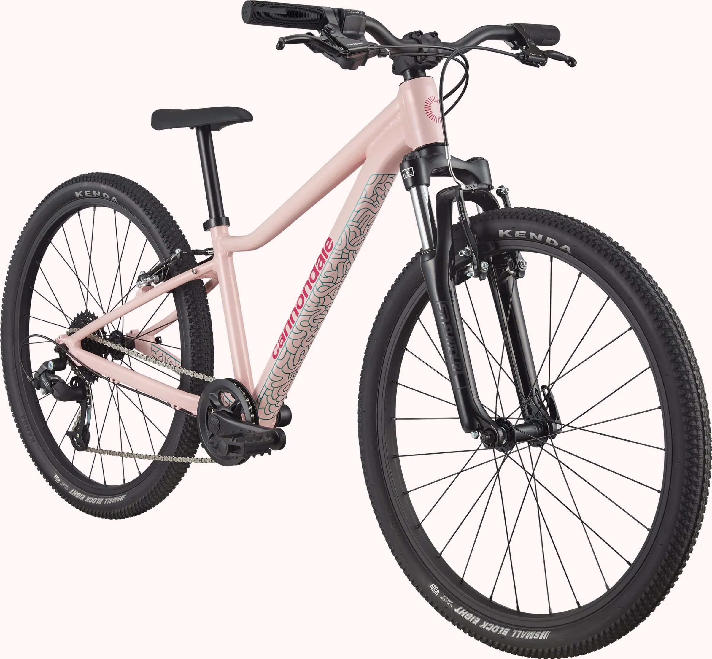 Cannondale Trail 24