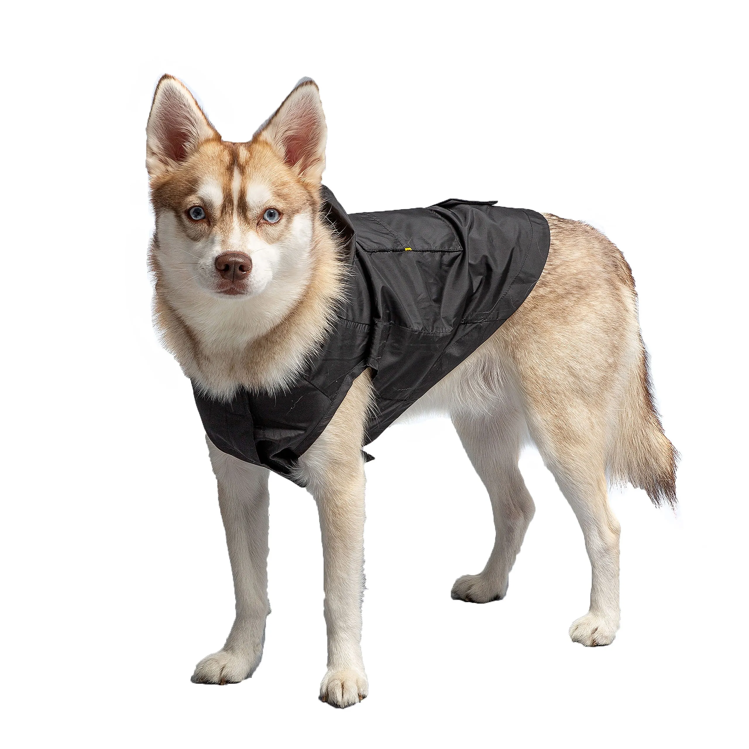 U.S. Army Packable Dog Raincoat - Black