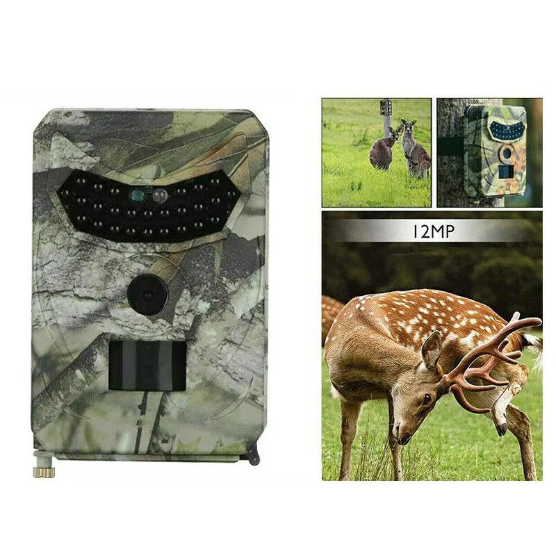 Wildlife Trail Camera - HD Hunting Camera